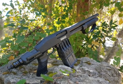 mossberg ar 22,Mossberg AR-22: A Comprehensive Overview