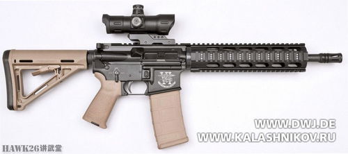 ar 15-6,Understanding the AR-15-6: A Comprehensive Overview