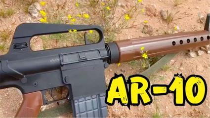 psa ar-10,Understanding PSA