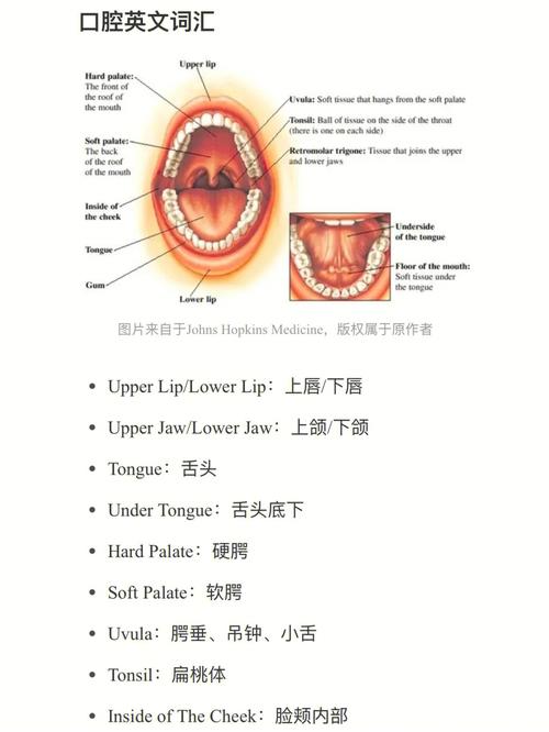 delta dental ar provider login,Delta Dental AR Provider Login: A Comprehensive Guide