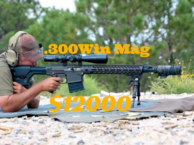 300 win mag ar 10,300 Win Mag AR-10: A Comprehensive Guide