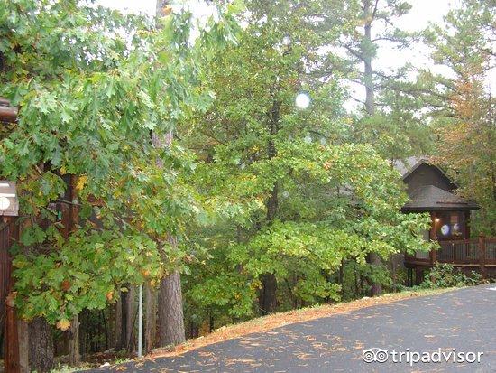 eureka springs treehouses eureka springs ar,Eureka Springs Treehouses: A Unique Experience in Eureka Springs, Arkansas