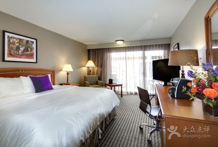 best western plus texarkana inn & suites texarkana ar 71854,Accommodation Options