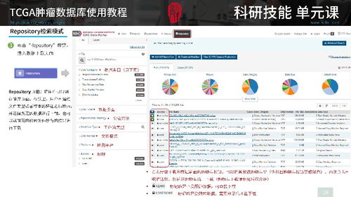 What is ar analysis example,What is AR Analysis Example?