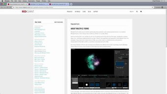 ar11 form,ar11 Form: A Comprehensive Guide