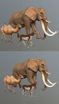 elephant 3d google,Elephant 3D Google: A Comprehensive Overview