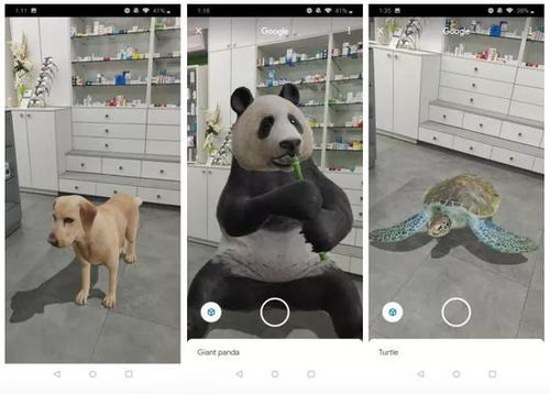 3d google animals,3D Google Animals: A Detailed Multidimensional Introduction